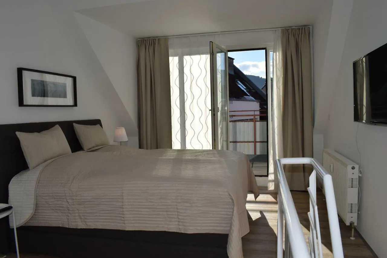 Maisonette Apartment Am Bahnhof - Adults Only